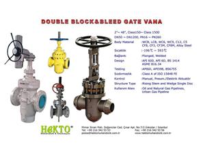 Double Block And Bleed Gate Valve Sürgülü Vana DBB Çift Blok Blid