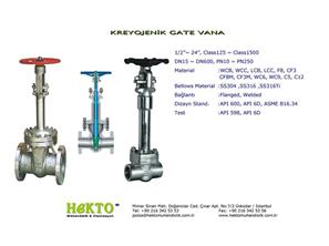 Kreyojenik Sürgülü Vana Cryogenics CRYOGENICS Gate Valve