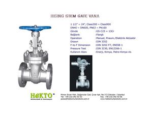 Rising RISING Stem Gate Valve Yükselen Milli Gate Vana