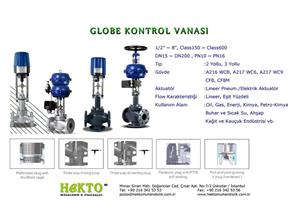 Globe Kontrol Vanası Glop Control Valve