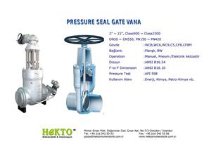 Pressure Seal Gate Valve Basınç Sızdırmaz Sürgülü Vana