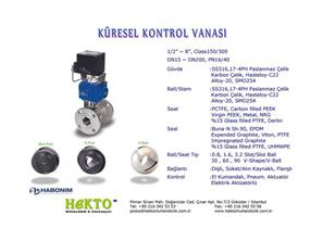 Küresel kontrol Vanası Ball Control Valve