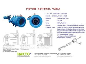 Piston Kontrol Vanası Control 